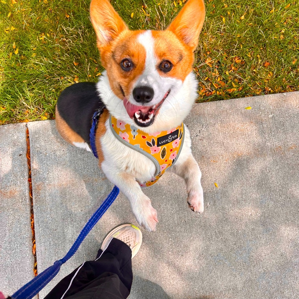 Meet your Posher, Karen